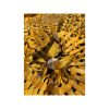 Originele militaire remparachute geel – ca. 4,5 meter - Afbeelding 4